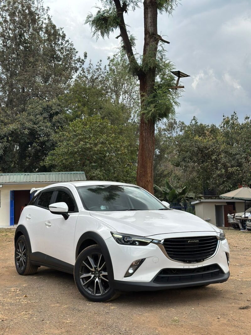 2017 MAZDA CX3 - Image 2