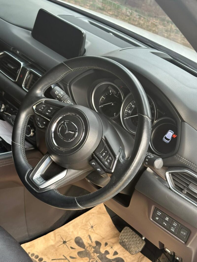 2018 Mazda cx8 - Image 11