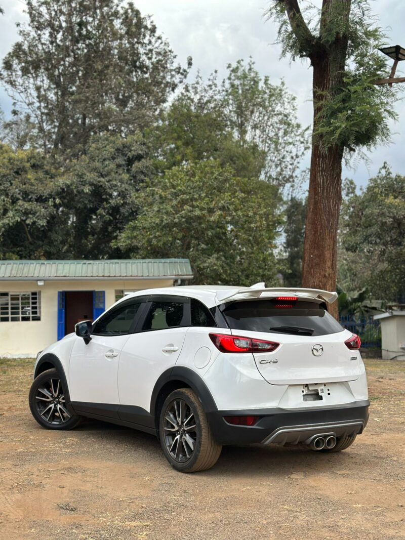 2017 MAZDA CX3 - Image 13