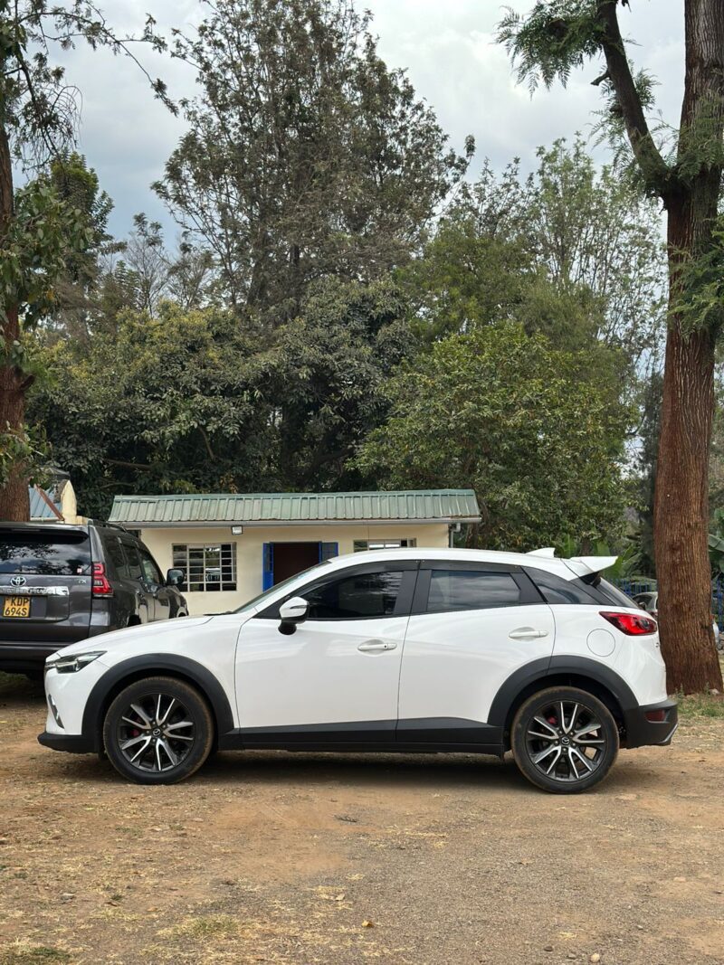 2017 MAZDA CX3 - Image 10