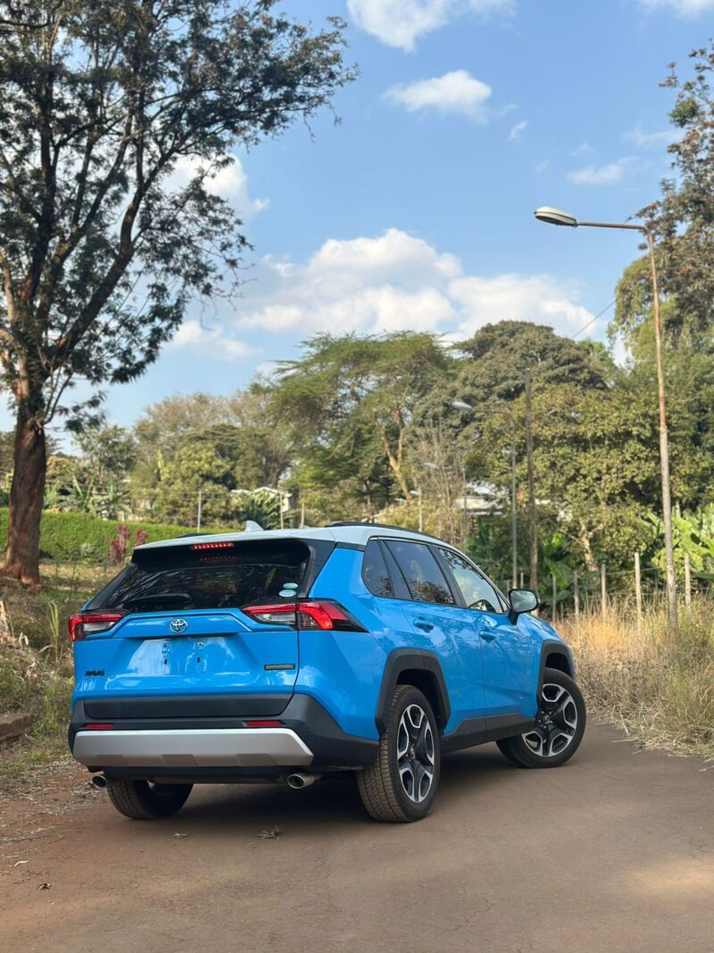 TOYOTA RAV4 2019 BLUE - Image 14