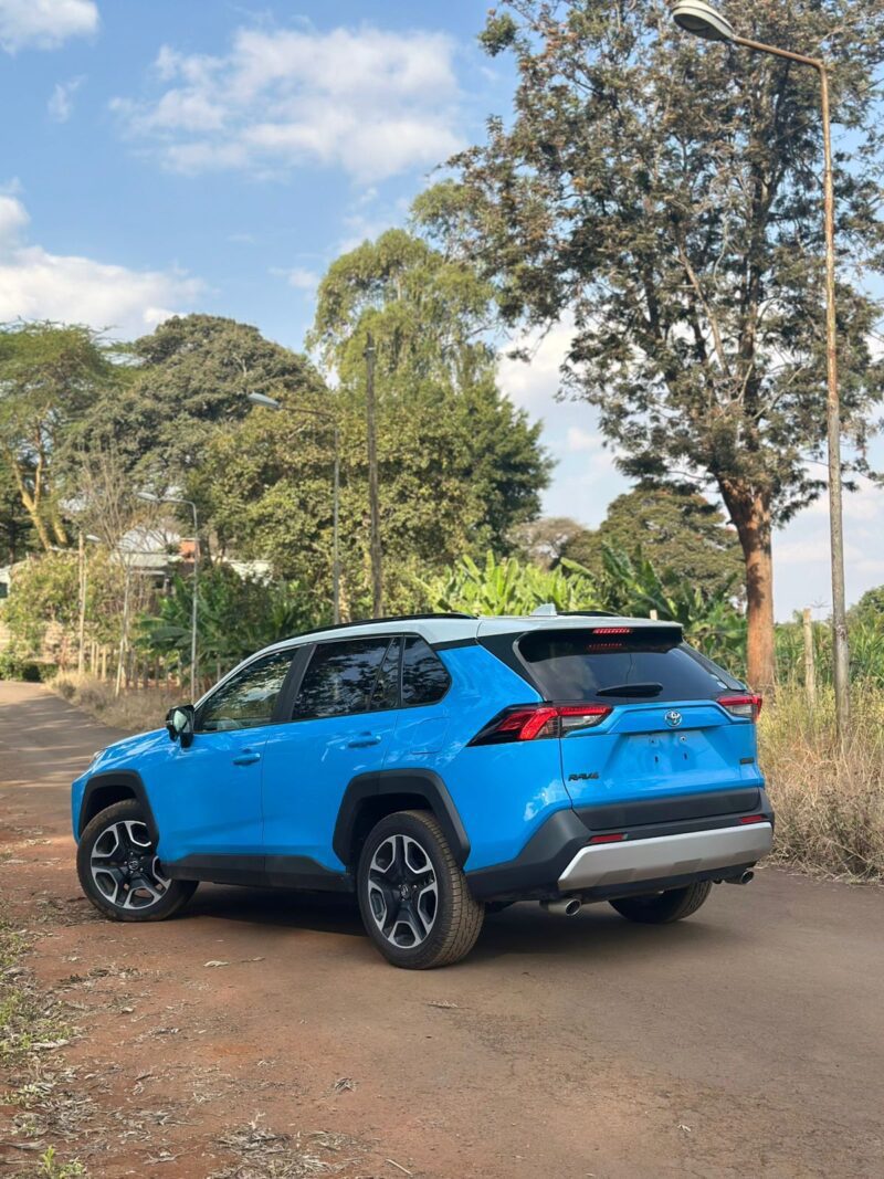 TOYOTA RAV4 2019 BLUE - Image 12