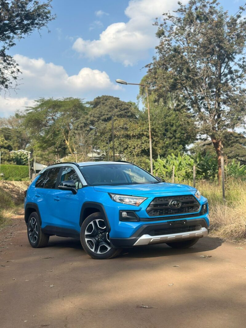 TOYOTA RAV4 2019 BLUE