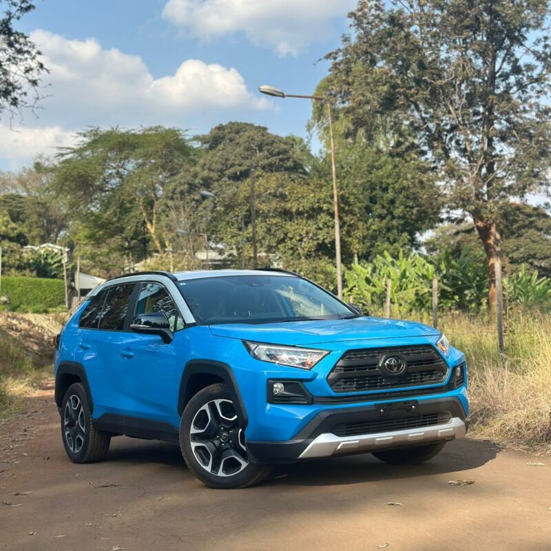 TOYOTA RAV4 2019 BLUE