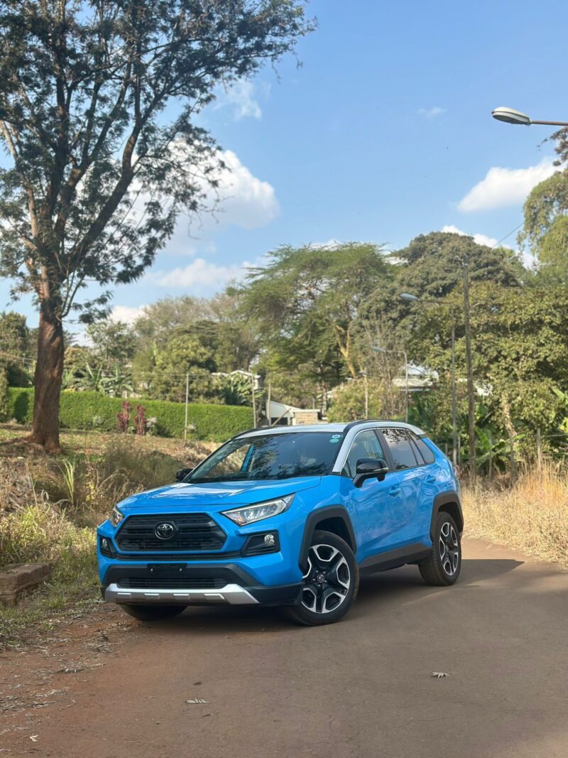 TOYOTA RAV4 2019 BLUE - Image 2